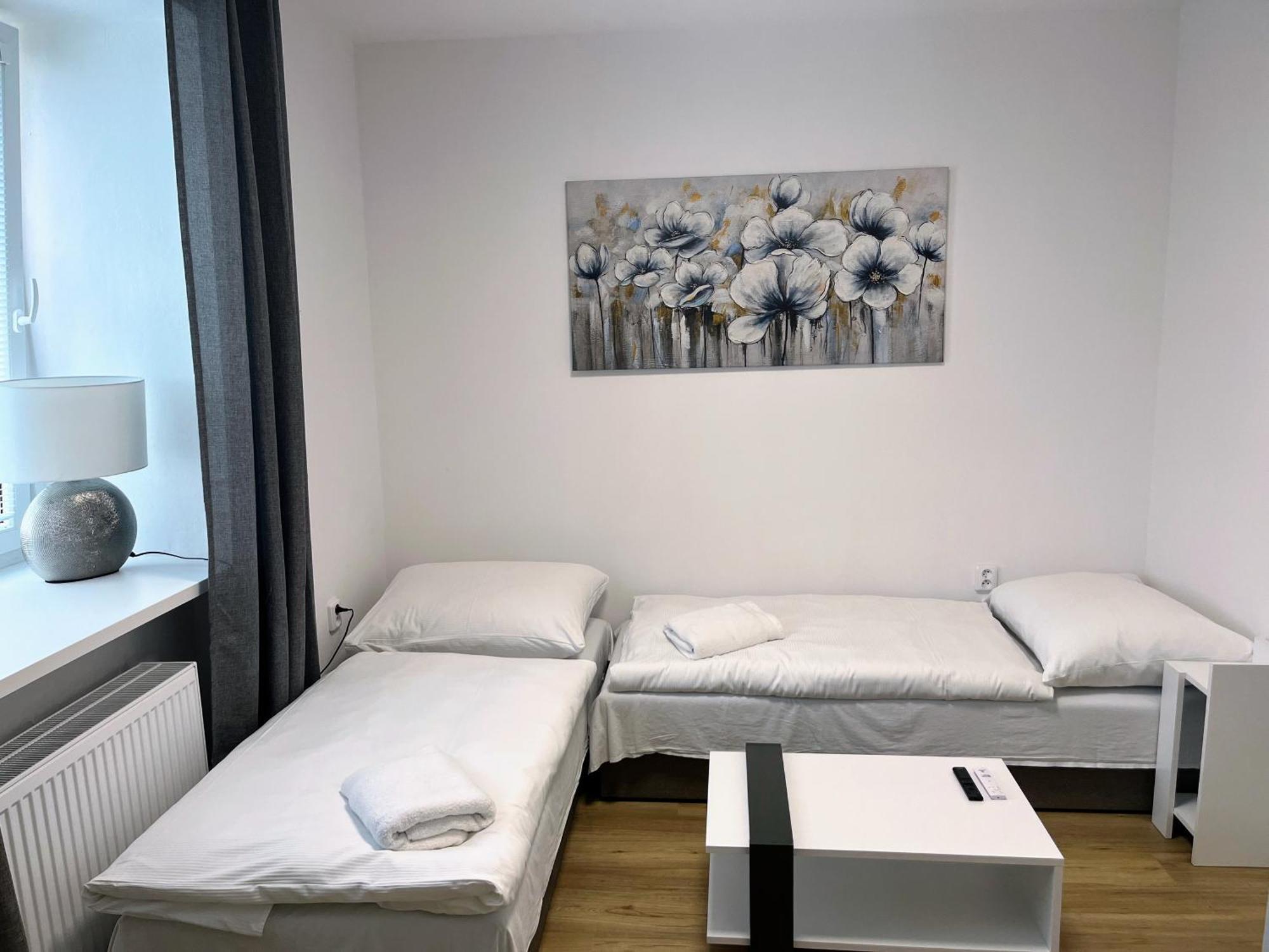Apartament Apartman Na Namesti Opočno Zewnętrze zdjęcie